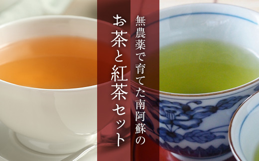 [I073-204001]「南阿蘇村緑茶＆紅茶」銘茶詰合セット