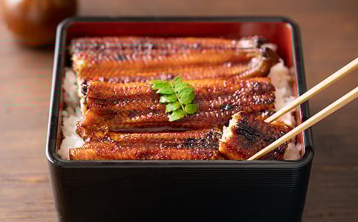 【12月14日決済分まで年内発送】【配送指定可】温泉うなぎ蒲焼 5尾（120gサイズ） 国産うなぎ 人気 国産 蒲焼 蒲焼き かば焼き 鰻屋 個包装 冷凍 真空 ギフト 年内 発送 配送 ＜104-005_5＞