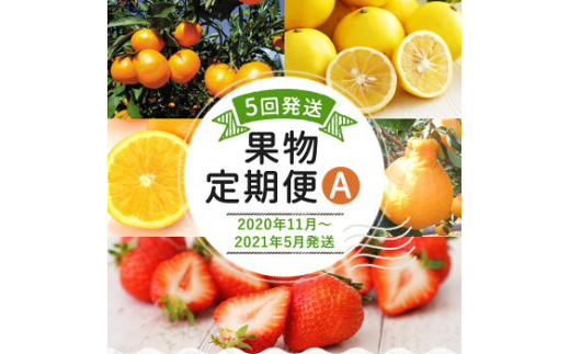 果物定期便a 5回発送 みかん ネーブル デコポン あまおう ニューサマーオレンジ 年11月 21年5月まで計5回お届け 福岡県古賀市 ふるさと納税 ふるさとチョイス