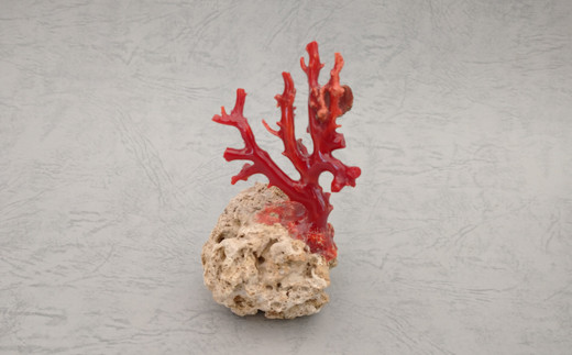 海の秘宝珊瑚：置物G