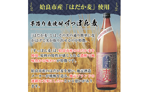 No 536 本格焼酎飲み比べ 白金酒造のレギュラー酒 白金乃麦 と姶良市限定販売の麦焼酎 すっぽん麦 各1800ml の麦焼酎呑み比べ一升瓶 麦麦セット 大 白金酒造 鹿児島県姶良市 ふるさと納税 ふるさとチョイス