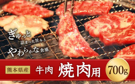 熊本県産 牛肉 焼き肉 用 700g うで または もも 国産 焼肉 熊本県多良木町 ふるさと納税 ふるさとチョイス