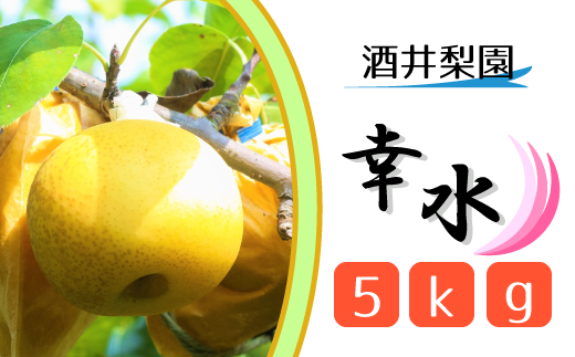 [酒井梨園]松戸の完熟梨「幸水」5kg