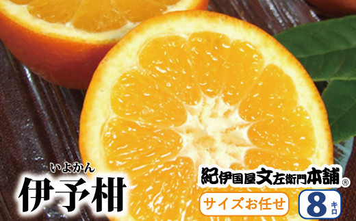 伊予柑 いよかん 約8kg サイズおまかせ 22年1月中旬 2月中旬頃に順次発送予定 お届け日指定不可 紀伊国屋文左衛門本舗 和歌山県北山村 ふるさと納税 ふるさとチョイス