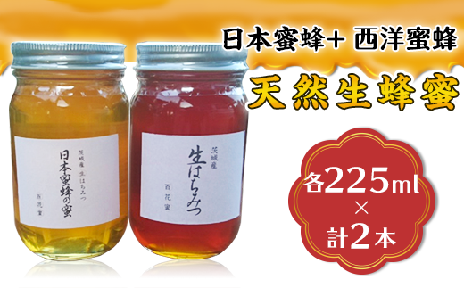 52-04天然生蜂蜜（日本蜜蜂と西洋蜜蜂） 246873 - 茨城県下妻市