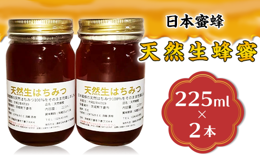 天然生蜂蜜（日本蜜蜂）2本セット【ハチミツ 蜂蜜 はちみつ 生蜂蜜 蜂 お菓子 瓶タイプ 砂糖 甘い 濃厚】 246871 - 茨城県下妻市
