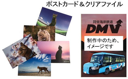 マチ猫・DMVコラボクリアファイル＆猫のポストカード