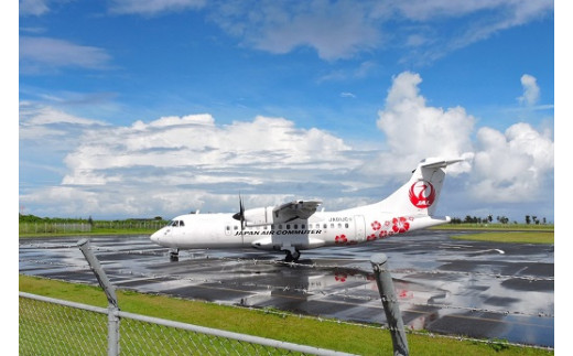 往復航空券 喜界島空港 鹿児島空港 鹿児島県喜界町 ふるさと納税 ふるさとチョイス