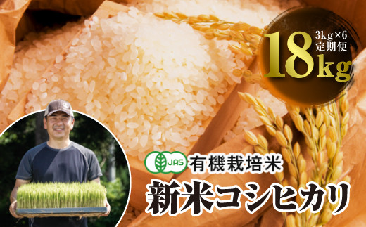 令和2年産新米 定期便 Jas認定 有機栽培米 コシヒカリ 精米 3kg 6回 2カ月に1回 福島県西会津町 ふるさと納税 ふるさと チョイス