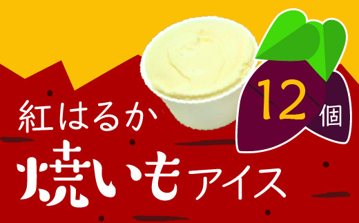 1241 紅はるかアイスクリーム 12個