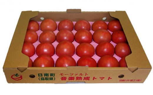 [先行予約・数量限定]星降る里日南町 樹熟れトマト4kg
