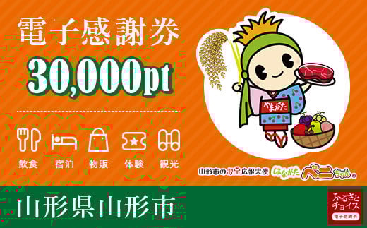 Fy20 534 山形市 電子感謝券 30 000pt 1pt 1円 山形県山形市 ふるさと納税 ふるさとチョイス