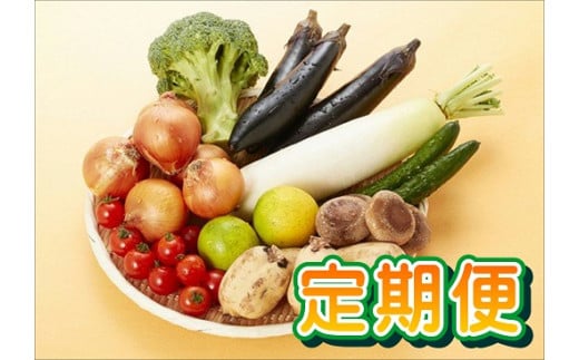 ※定番野菜6～8品目 程度・旬のお野菜1～