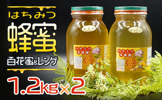 蜂蜜（レンゲ蜜１.２ｋｇ、百花蜜１.２ｋｇ）セット K2 247179 - 福岡県赤村