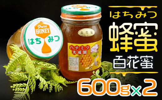 蜂蜜（百花蜜６００ｇ）２個セット K1 247178 - 福岡県赤村