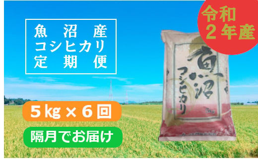 魚沼産コシヒカリ定期便 5kg 6回 隔月でお届け Ja越後おぢや 新潟県小千谷市 ふるさと納税 ふるさとチョイス