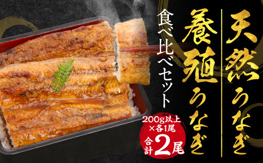 天然うなぎと養殖うなぎの食べ比べ 0g以上 2尾 合計400g以上 熊本県八代市 ふるさと納税 ふるさとチョイス