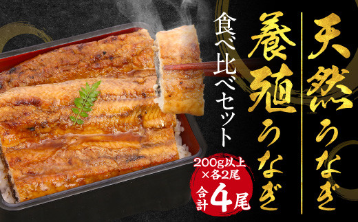 天然うなぎと養殖うなぎの食べ比べ 0g以上 4尾 合計800g以上 熊本県八代市 ふるさと納税 ふるさとチョイス