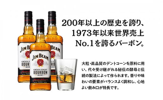 サントリー ジムビーム瓶 700ml 12本 １ケース 栃木県栃木市 ふるさと納税 ふるさとチョイス