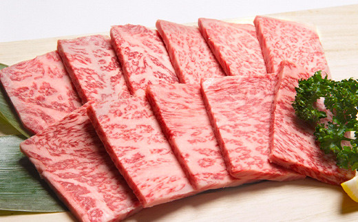 福岡県産 A5 博多 和牛 ロース 焼肉用 600g(300g×2パック) 