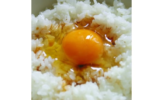 令和2年産 しっかり食感北海道米 北海道産きらら397 5kg 北海道旭川市 ふるさと納税 ふるさとチョイス