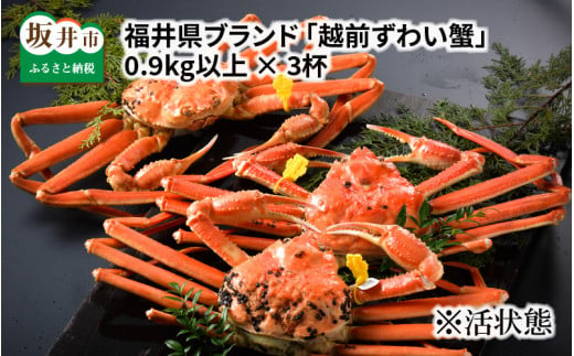 【先行予約】福井県ブランド ≪茹で≫「越前ズワイ蟹」 0.9kg以上 3杯 【2025年1月発送分】 [Q-1401_01]