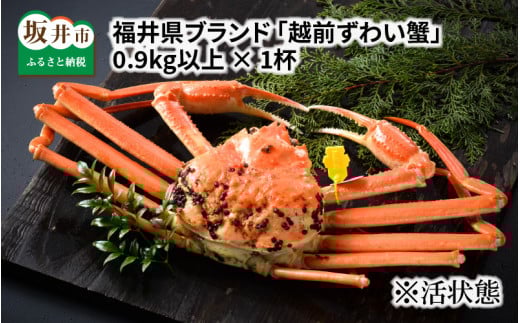[先行予約]福井県ブランド ≪茹で≫「越前ズワイ蟹」 0.9kg以上 [2025年11月発送分] [K-1401_11]