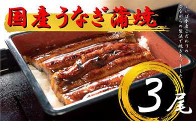 国産 うなぎ蒲焼3本セット