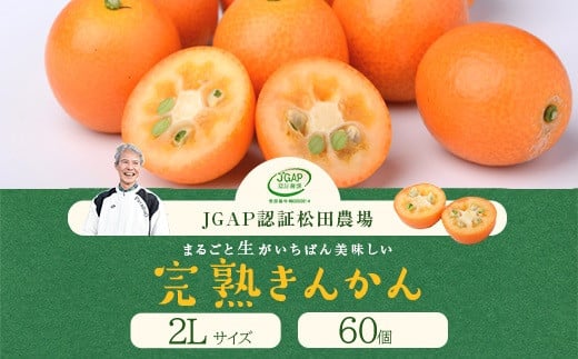 AS-875 松田農場のJGAP認証 鹿児島県産きんかん 2L級60個詰【2024年12月上旬~2025年2月下旬に順次発送】