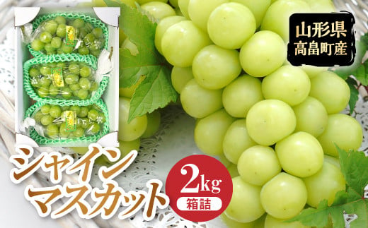 《先行予約》2024年 山形県 高畠町産 シャインマスカット 箱詰 約2kg(3～4房) 2024年9月中旬から順次発送 ぶどう ブドウ 葡萄 マスカット 大粒 種なし 高級 くだもの 果物 フルーツ 秋果実 産地直送 農家直送 数量限定 贈答 ギフト F20B-117 1144906 - 山形県高畠町