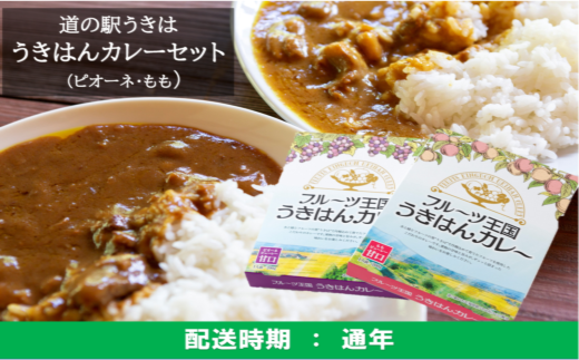 K661 St 道の駅うきは フルーツカレーセット 福岡県うきは市 ふるさと納税 ふるさとチョイス