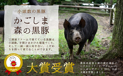 743 1 かごしま森の黒豚 ヒレ ロースステーキ 鹿児島県鹿屋市 ふるさと納税 ふるさとチョイス