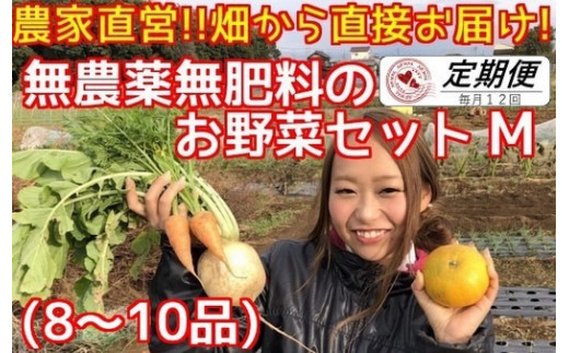 BR003 【毎月定期便12回】松戸市の4人家族から無農薬無肥料の旬の野菜セットM