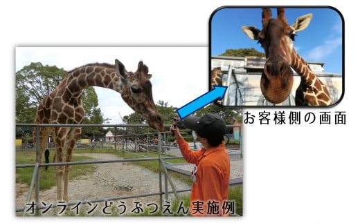 大牟田市動物園をひとりじめ！　完全プライベート動物園オンラインツアー！