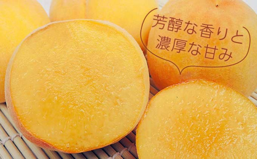 マンゴーのようなジューシーな味わいからマンゴーピーチと呼ばれることもある黄金桃。芳醇な香りと濃厚な甘みをお楽しみいただけます。