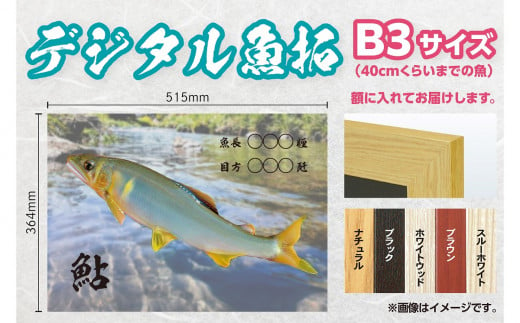 CM-014 【B３・デジタル魚拓】メモリアルフィッシュを釣れたてのままに。 320274 - 福岡県行橋市