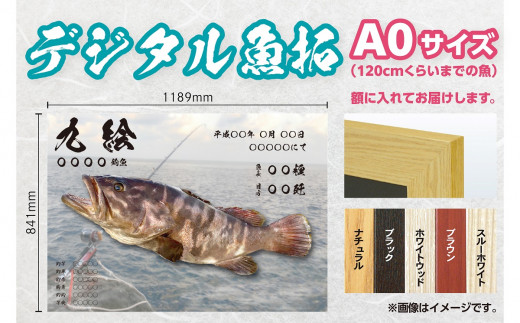 CM-013 【A０・デジタル魚拓】メモリアルフィッシュを釣れたてのままに。 320273 - 福岡県行橋市