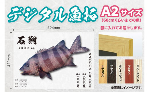 CM-012 【A２・デジタル魚拓】メモリアルフィッシュを釣れたてのままに。 320272 - 福岡県行橋市