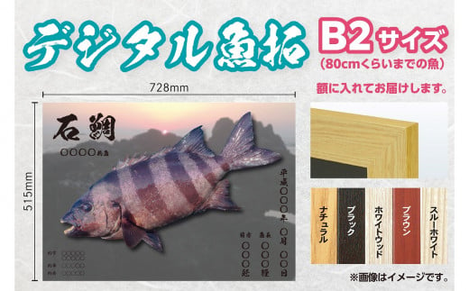 CM-015 【B２・デジタル魚拓】メモリアルフィッシュを釣れたてのままに。 320275 - 福岡県行橋市