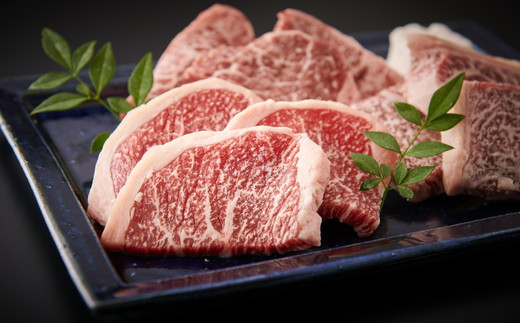 黒毛和牛(阿波牛)赤身セット約600g【MM-06】