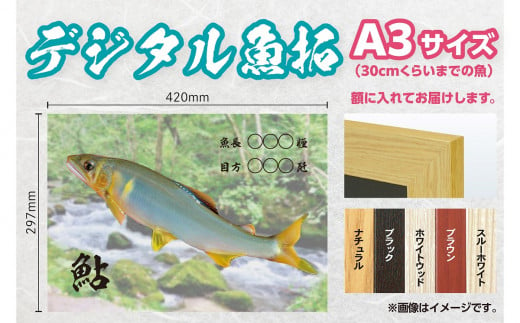 CM-011 【A３・デジタル魚拓】メモリアルフィッシュを釣れたてのままに。 320269 - 福岡県行橋市