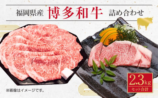 博多 和牛 サーロイン ステーキ & 薄切り肉 詰め合わせ 計2.3kg 246066 - 福岡県直方市