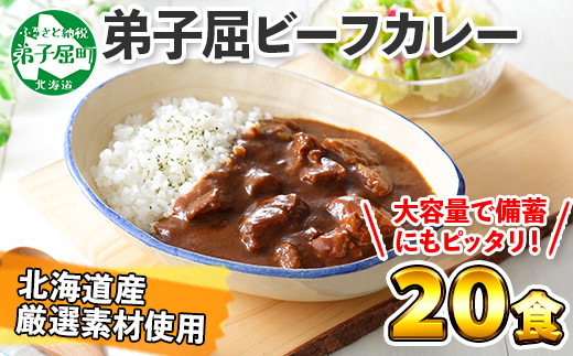 527 北海道 ビーフカレー 個 セット 中辛 牛肉 業務用 レトルトカレー 備蓄 まとめ買い 弟子屈 北海道弟子屈町 ふるさと納税 ふるさとチョイス