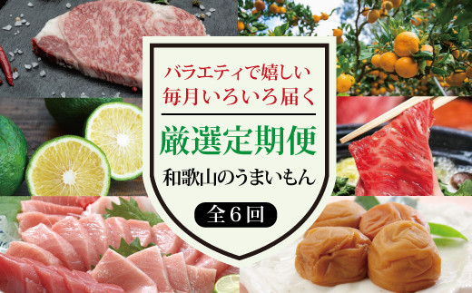 【6か月定期便】牛肉/海の幸/山の幸 和歌山のうまいもんを厳選!バラエティ豊かで嬉しい定期便♪