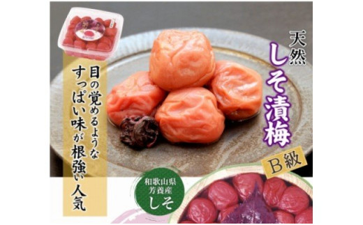 徳用 しそ漬梅1.5kg【紀の里食品】【kns014A】 2205662 - 和歌山県新宮市