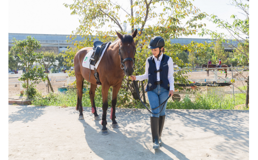 平日限定 ３日間で乗馬５級ライセンス取得コース 東武乗馬クラブ クレイン 埼玉県宮代町 ふるさと納税 ふるさとチョイス