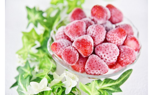 特別賞受賞 完熟冷凍いちごbabyberryfarm 2kg 静岡県南伊豆町 ふるさと納税 ふるさとチョイス 特別賞受賞 完熟冷凍いちごbabyberryfarm 2kg 静岡県南伊豆町 ふるさと納税 ふるさとチョイス