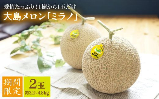 【先行予約☆1本の樹から1玉だけ】大島メロン「ミラノ」2玉（計3.2～4.8kg）＜大島造船所 農産グループ＞ [CCK021] 244432 - 長崎県西海市
