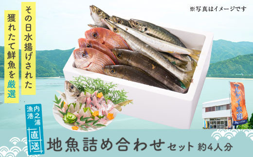 内之浦漁港直送(地魚は季節によって内容が変わります)