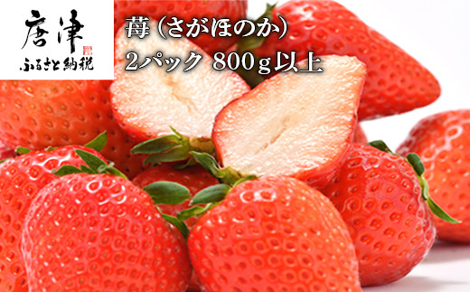【予約受付中】 苺(さがほのか)2パック 800g以上 フルーツ 果物 ギフト